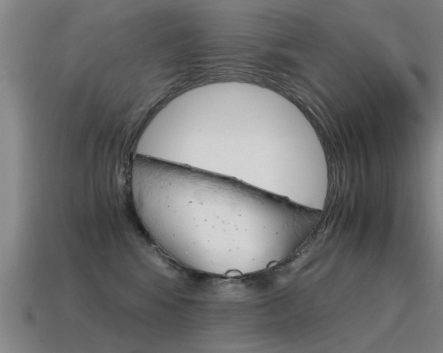 X0000115640424200911101100
