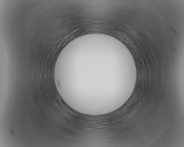 X0000115640425200911101100