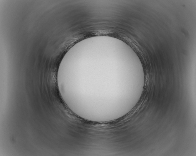 X0000115640426200911101100