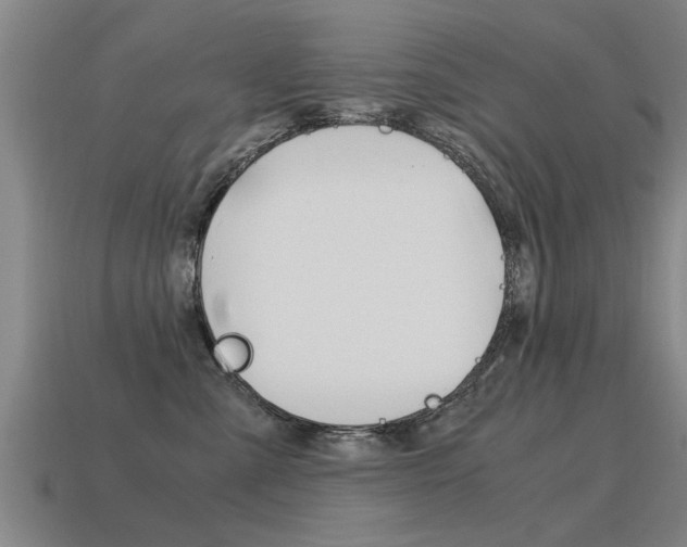 X0000115640427200911101100