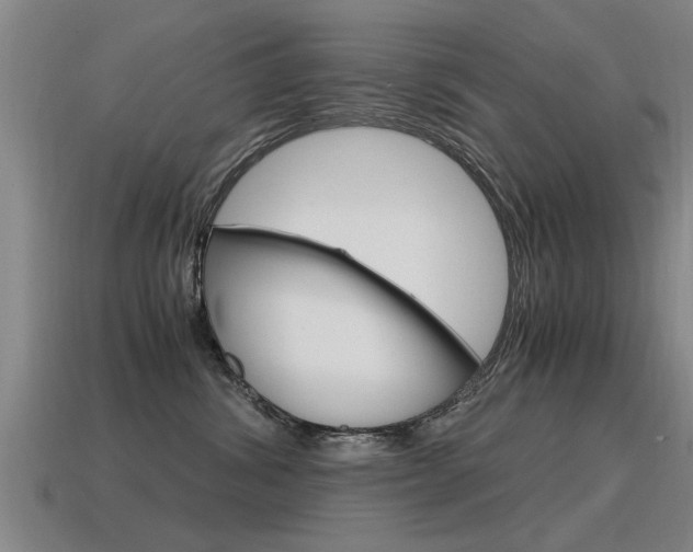 X0000115640428200911101100