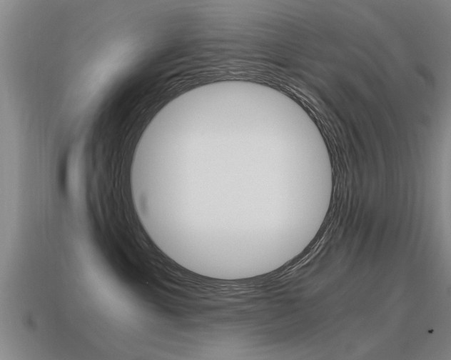 X0000115640429200911101100