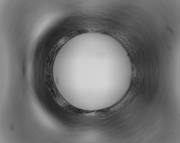 X0000115640430200911101100