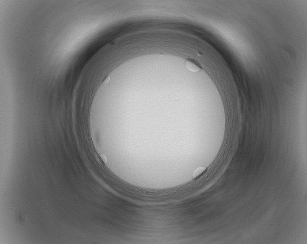 X0000115640431200911101100