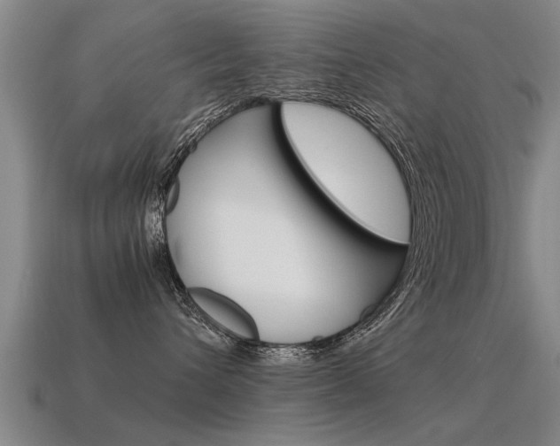 X0000115640432200911101100