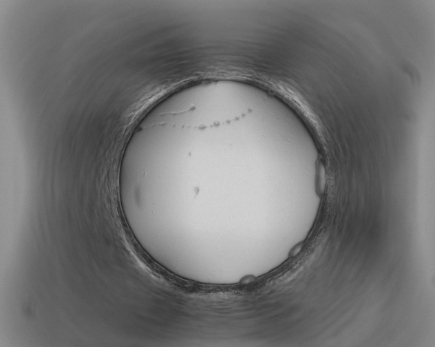 X0000115640433200911101059