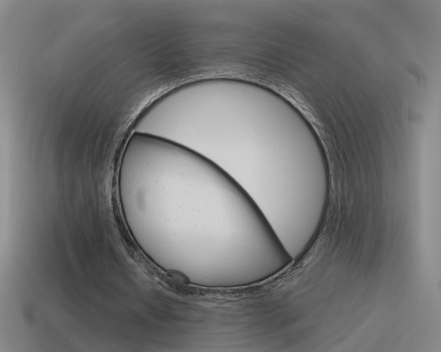 X0000115640434200911101059