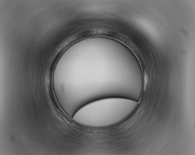 X0000115640435200911101059