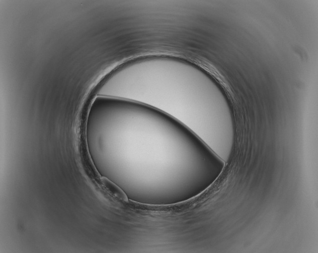 X0000115640436200911101059