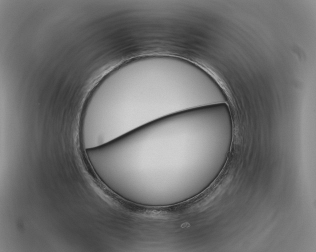X0000115640437200911101059