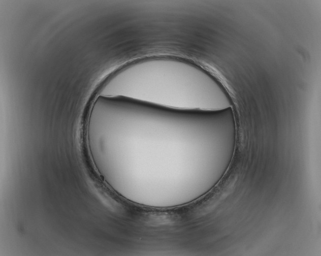 X0000115640439200911101059