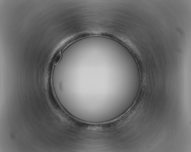 X0000115640440200911101059