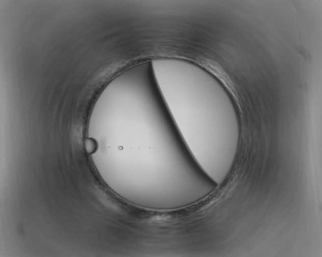 X0000115640441200911101059