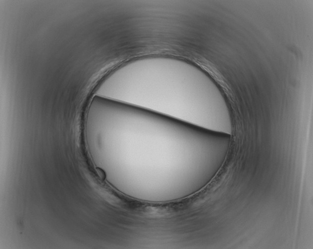 X0000115640442200911101059