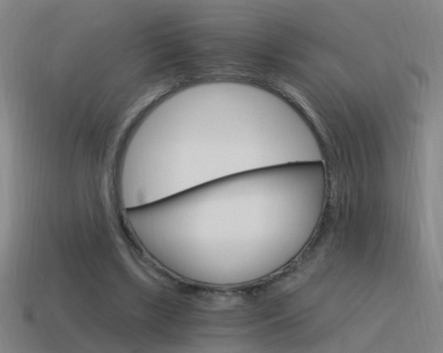X0000115640443200911101059