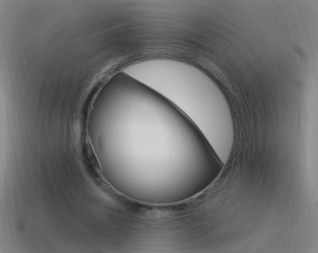 X0000115640444200911101059