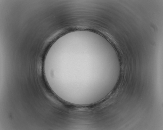 X0000115640446200911101059
