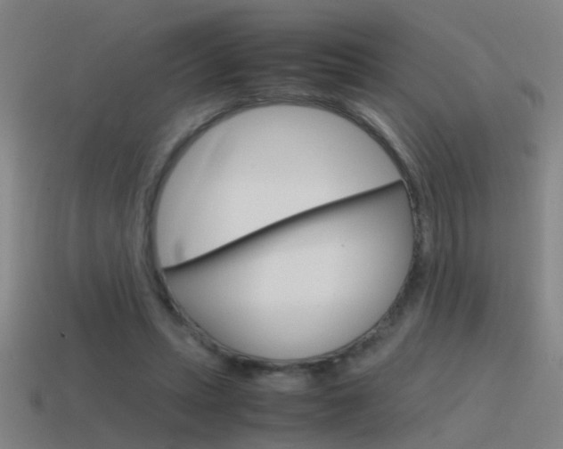 X0000115640447200911101059