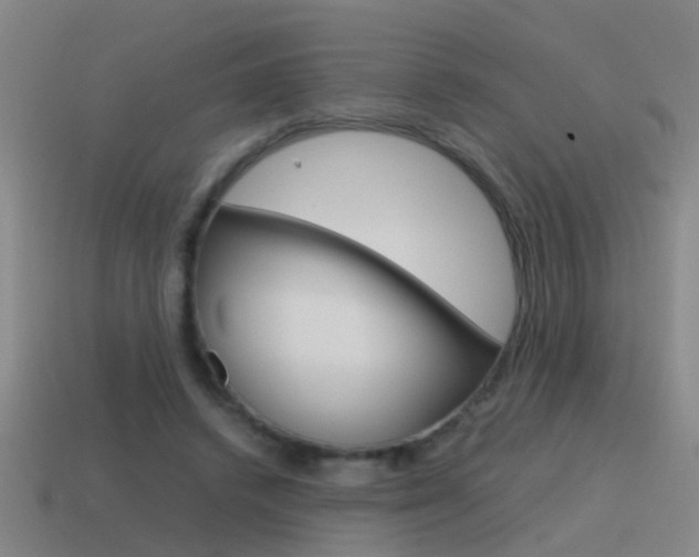 X0000115640448200911101059