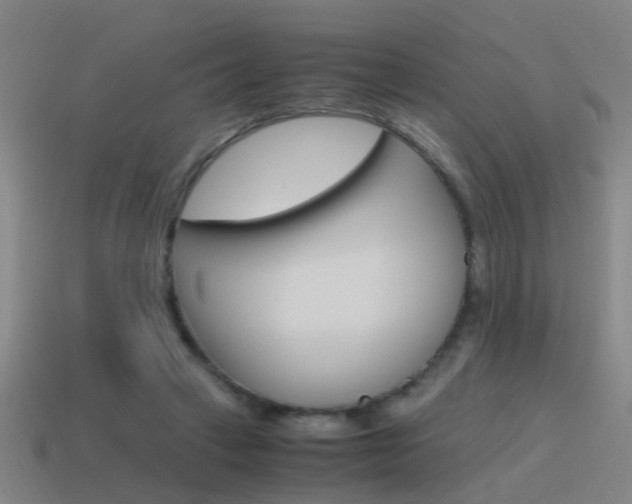 X0000115640449200911101059