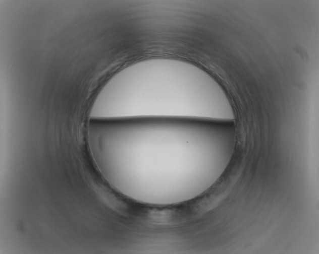 X0000115640450200911101059