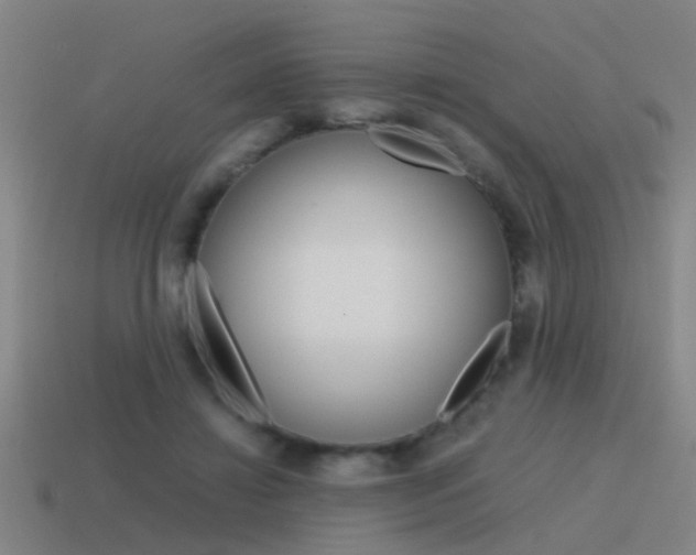 X0000115640452200911101059