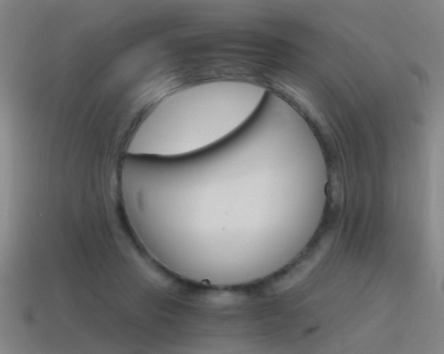 X0000115640453200911101059