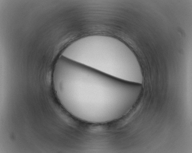 X0000115640454200911101059