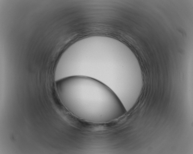 X0000115640456200911101059