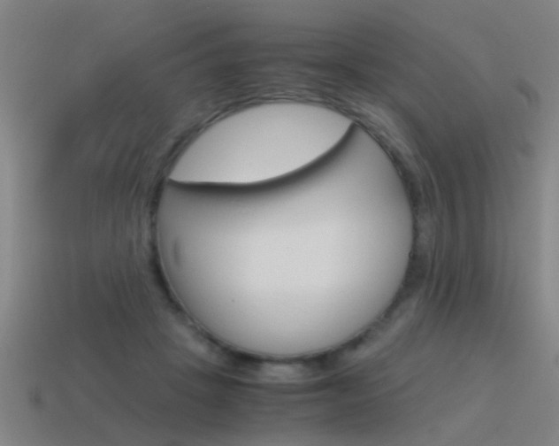 X0000115640457200911101059