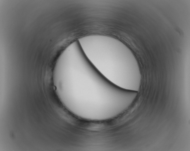 X0000115640458200911101059