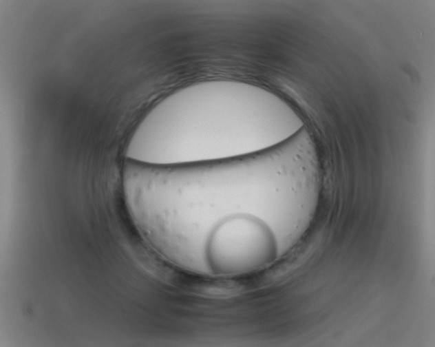 X0000115640459200911101059