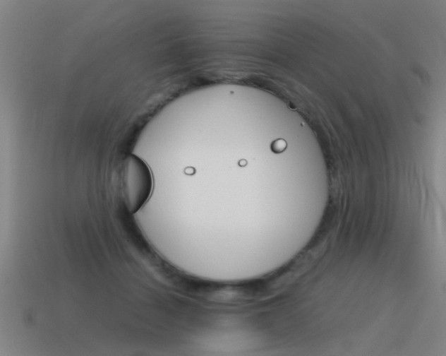 X0000115640460200911101059