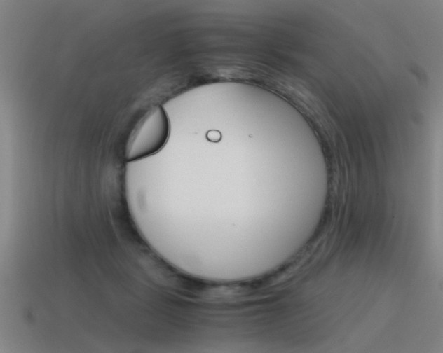 X0000115640461200911101059