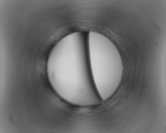 X0000115640462200911101059