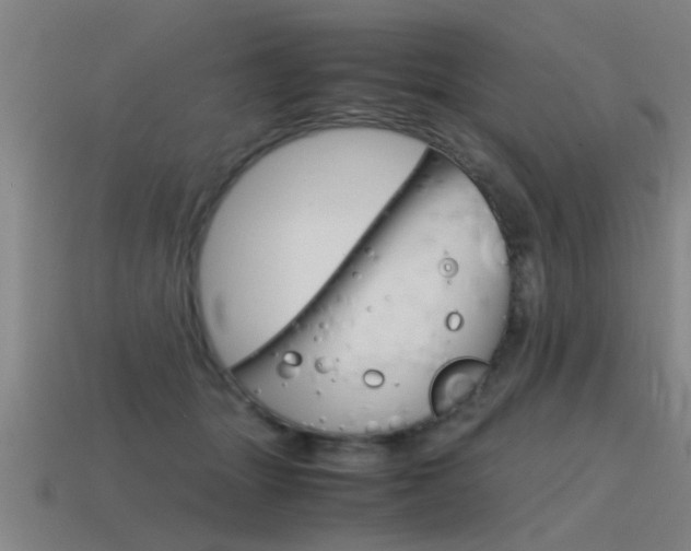 X0000115640463200911101100