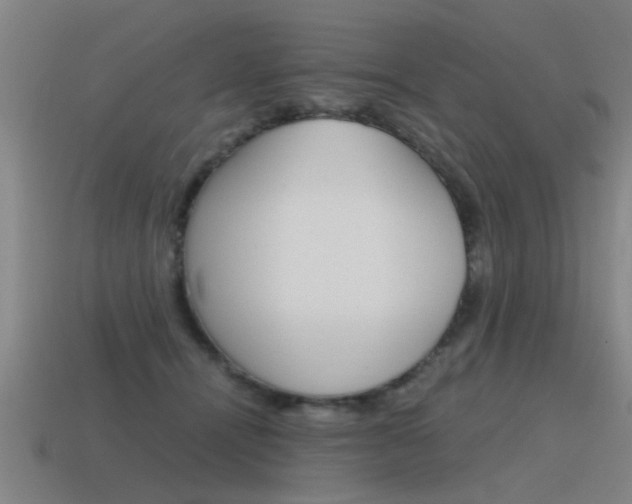 X0000115640464200911101100