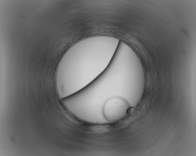 X0000115640465200911101100