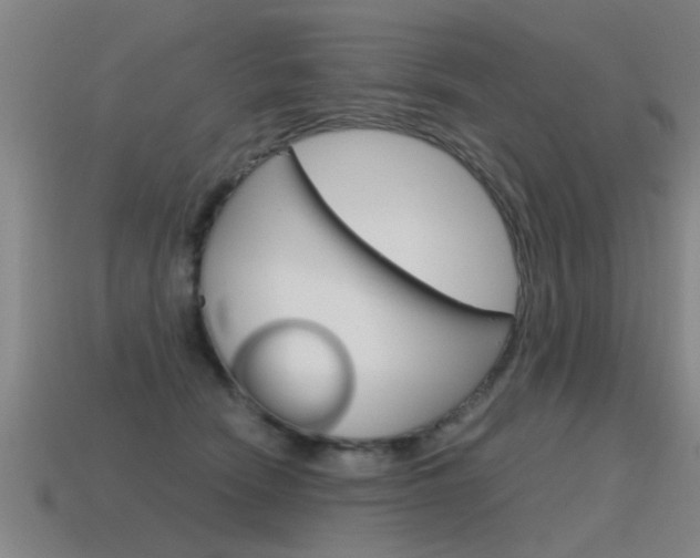 X0000115640466200911101100