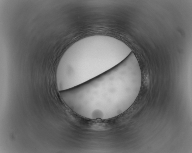 X0000115640471200911101100