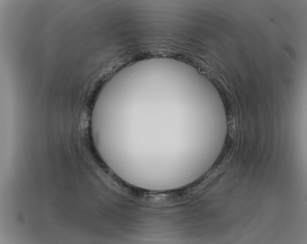 X0000115640472200911101100