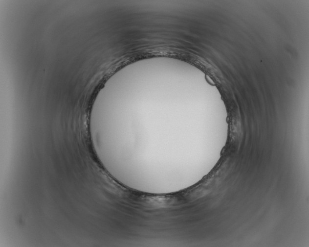 X0000115640473200911101100