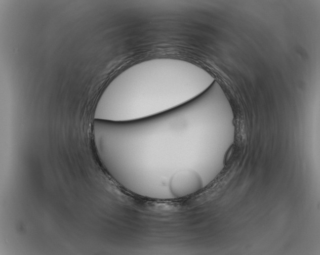 X0000115640475200911101100