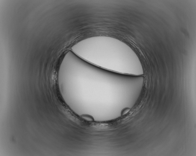 X0000115640476200911101100