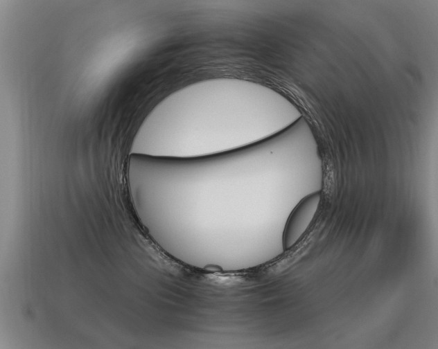 X0000115640477200911101100
