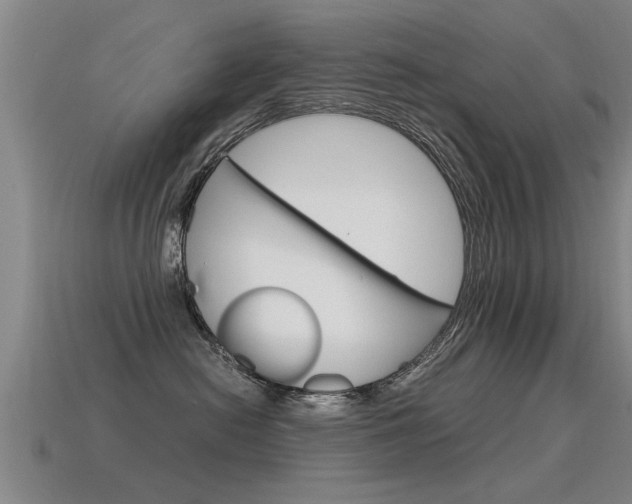 X0000115640478200911101100