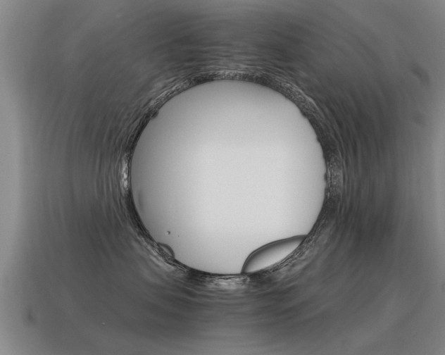 X0000115640479200911101100