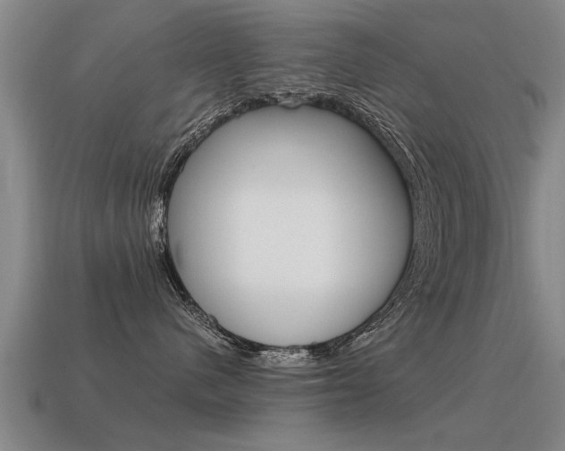 X0000115640480200911101100