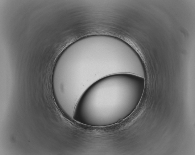X0000115640481200911101059