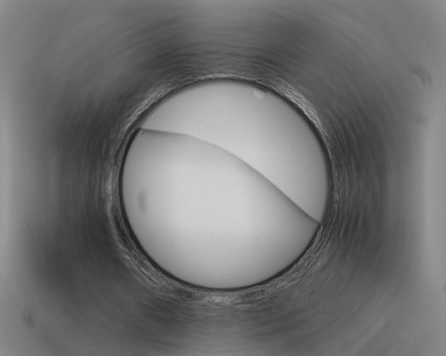 X0000115640482200911101059